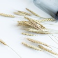 20 Stems Natural Dried Flowers Decorative Flowers Wheat Ear Bouquet Dried Branches Wedding Decoration Flower Wreath DIY
