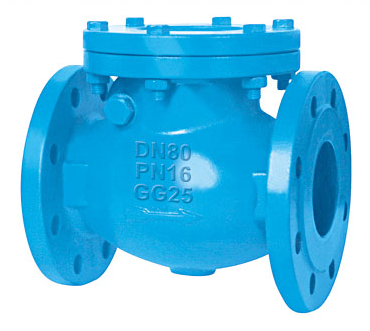 Check valve1