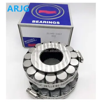 Japan Original Double Row Cylindrical Roller Bearing 2LV45-1AG3