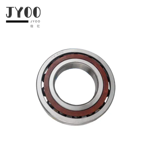 High Speed Precision Angular Contact Ball Bearing Kit 71913 7013 7213 7313 C CD B AC ACM AW DB DT DF P4