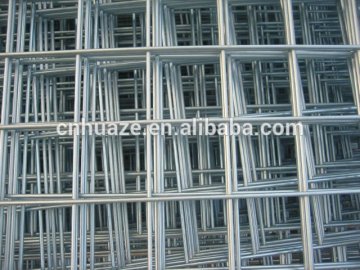 HIgh quality galvanized bird cage welded wire mesh