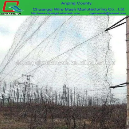 70D/2ply Bird catching net Live bird Trap Mist Net