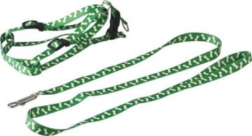Pet Leashes With Zinc Alloy Hook, D-ring, Plastic Detachable Buckle And Adjusted Buckles (15mm X 120cm) 37000