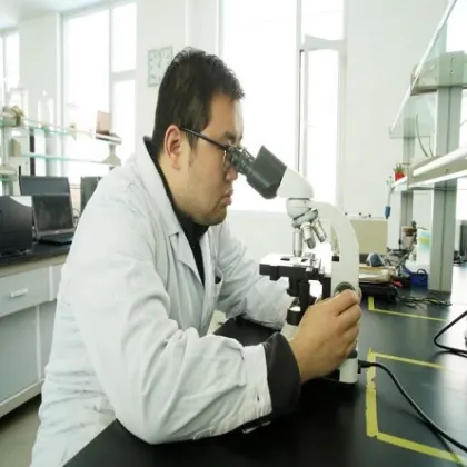 Champignon  Mushroom White  Color