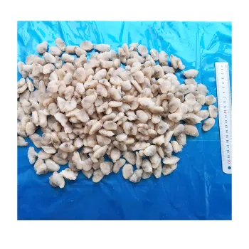 Low price frozen clam meat for bulk sale frozen bioled clam meat detail clam meat exporter