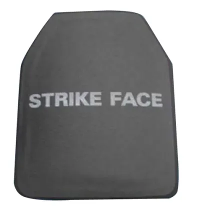 Body Armor Plate