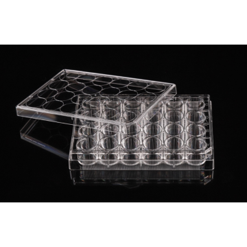 TC-Treated 48 well Cell Culture Plates