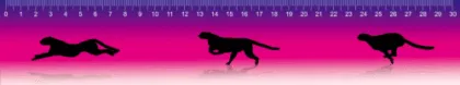 3d Ruler 