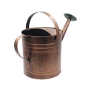 Vintage style copper color watering can