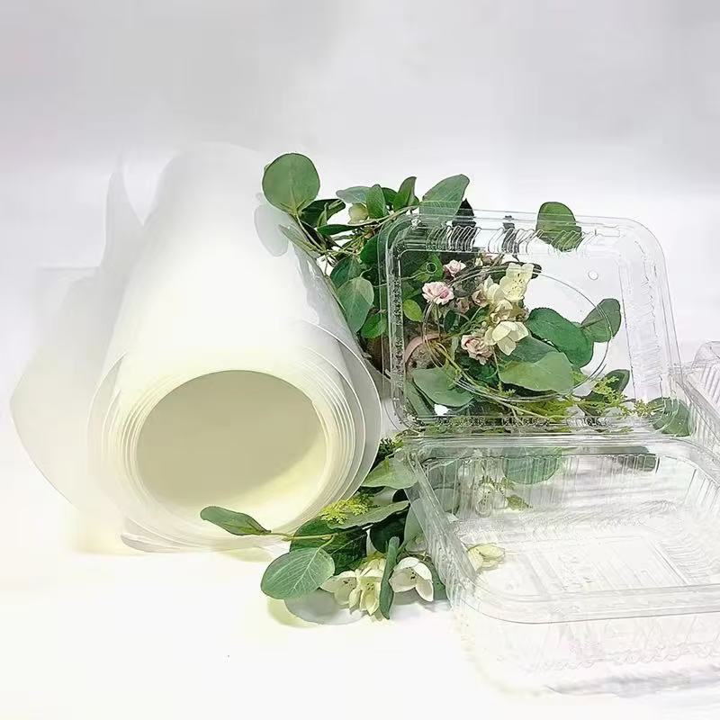 PET Transparent Film PET Transparent Film