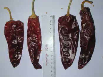 paprika pods