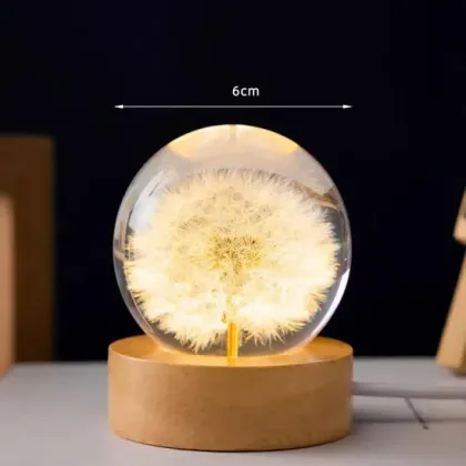 Eternal Flower Night Light