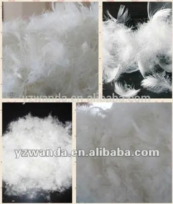 Fresh washed white duck eiderdown duck feather wholesale