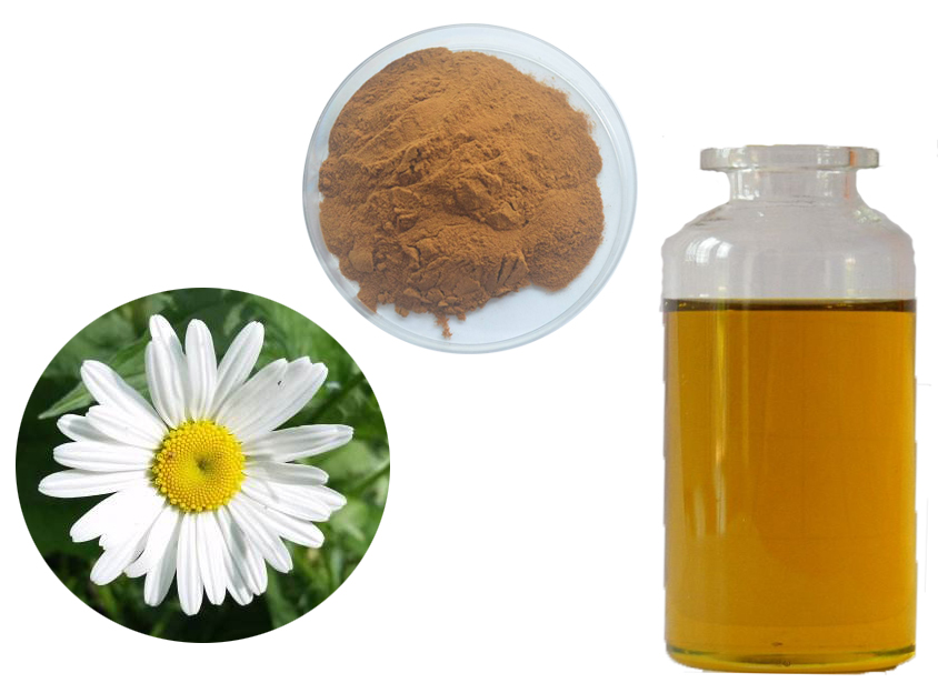Pyrethrum extract 10:1 pyrethrin 25% mo te ngarara Kaihanga Hainamana