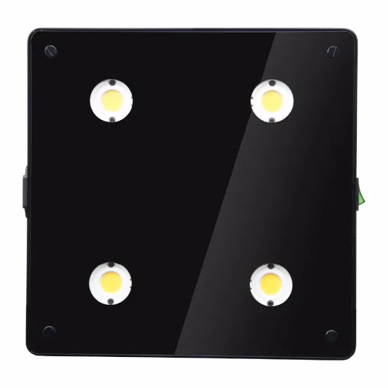 cheap shipping cost stimulate tent grow light