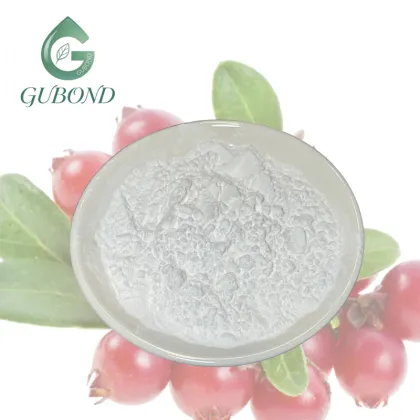 Alpha Arbutin Powder for Dietary Supplement Ingredients