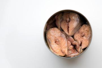 Canned Mackerel in Brine