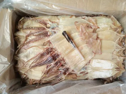 Dried Squid (AG) Skin Off