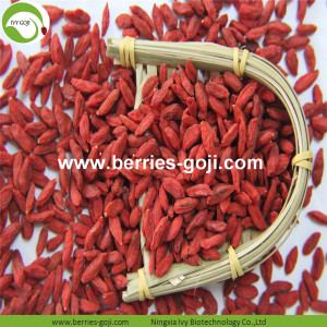 Approvisionnement en usine Fruits Nutrition 450 500 Goji Berry