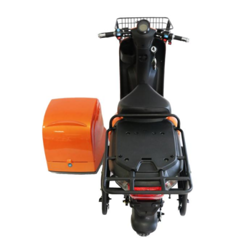 Consegna Big Tronco Scooter elettrico con cesto