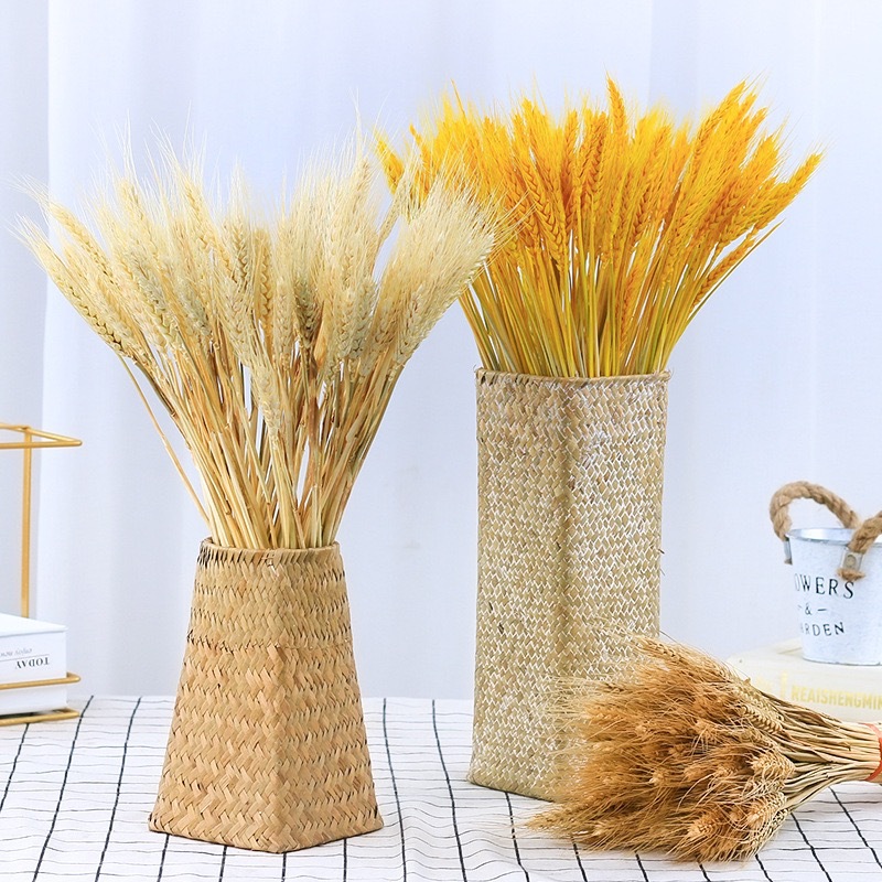 100Pcs Natural Dried Flower Wheat Ear For Home Decoration Flower Arrangement Wedding decoration Real Flower Grass Shooting Props