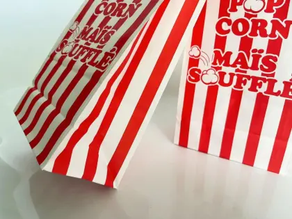 Biodegradable Bag Food Packaging