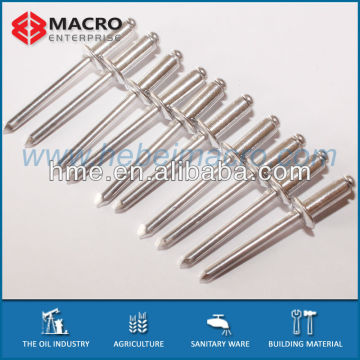 Blind rivet open type and closed type with dome head rivet