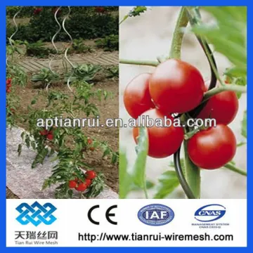 High quality tomato spiral support wire( factory)
