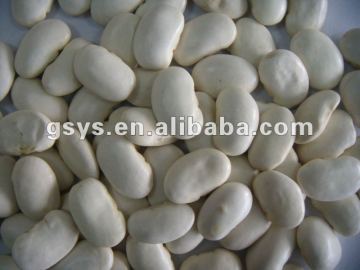 Chinese large white kidney beans