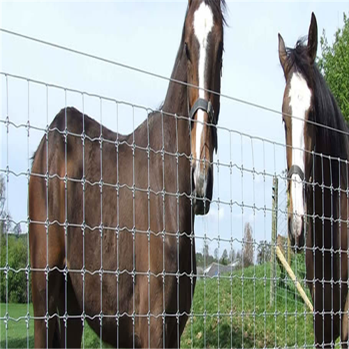 Galvanized Hinge Joint Fixed Knot Field Fence For Sale