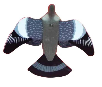 Realistic Plastic Flying Hunting Pigeon Decoy with Foam Wing and Landing Tail for Outdoor EVA