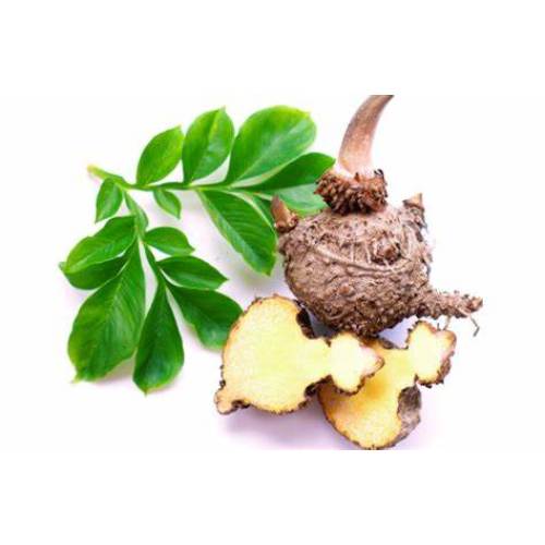 Natural Konjac Gum 95% Glucomannan