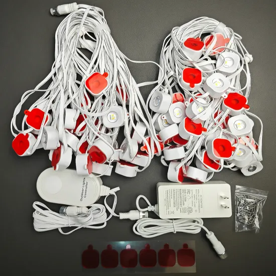 Smart App-Controlled Waterproof Christmas LED Light Decoration with 100FT Permanent Outdoor Use