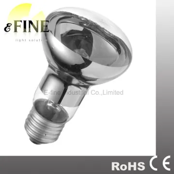 R80 halogen bulb