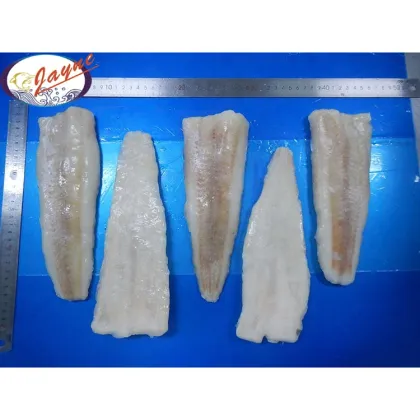Fresh Frozen Hake Whole Fish Frozen Hake Fish Fillet Hake