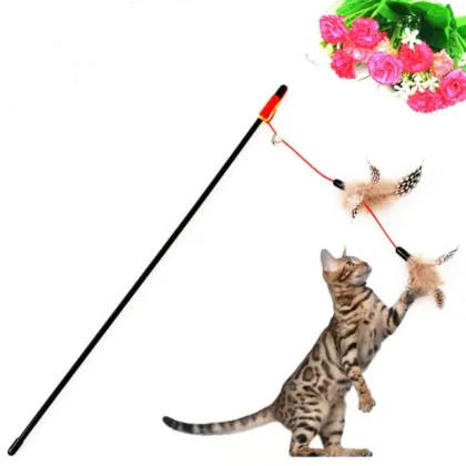 Interactive Cat Toys: Teaser Stick and Dancing Cat Toy