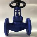 Cast steel DN15-300 bellows sealed globe valve