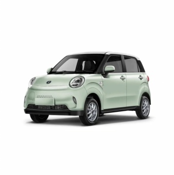 Cute Pure Electric Mini Vehicle for Adults - Factory Sales for Girls and Women