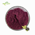 High Quality Acai Powder Supplement