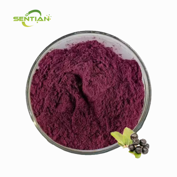 High Quality Acai Powder Supplement