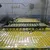 frp grating price/frp grating machine/high strength frp grating