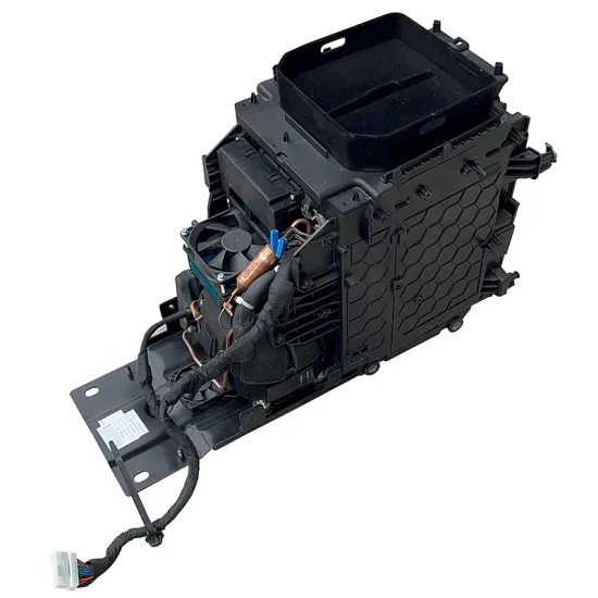 Most Popular Dual Temperature Control Car Mounted Compressor Refrigerator Suitable For Yang Wang U8 Refrigeration and heating