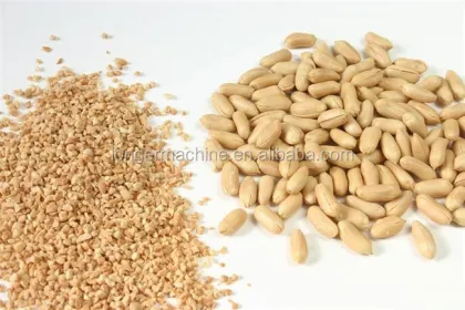 Roasted Peanut and Nut Chopping Machine - Cashew Nut Cutting Machine