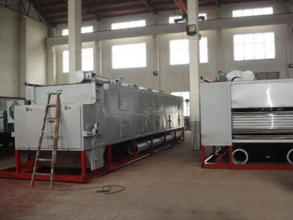 Saffron Mesh Belt Drying Machine