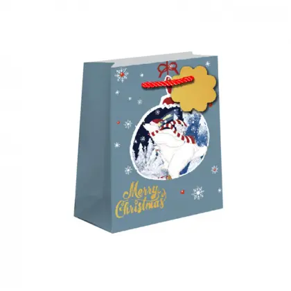 DAILY GIFT BAG 89-0