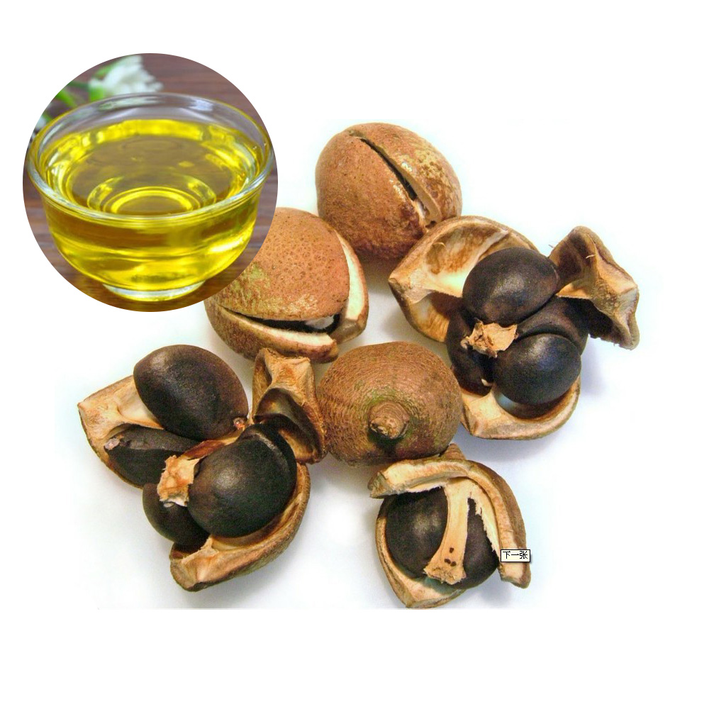 Organic camellia seed oil bulk price cooking massage