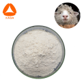 Anti-Aging-Material Schaf-Plazenta gefriergetrocknetes Pulver