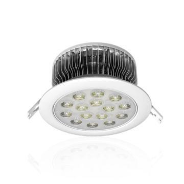 LED adjust downlamp 15W, green energy