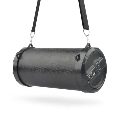 Professional OEM Services FM radio portable bluetooth speaker