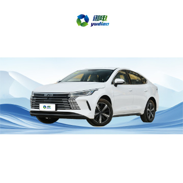 2024 BYD Destroyer 05 2024 Prestige Edition DM-i 55KM Premium Type